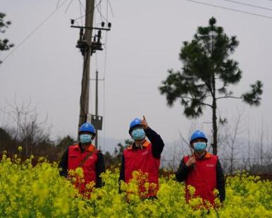 國網(wǎng)江西電力公司全力保障春季農業(yè)生產