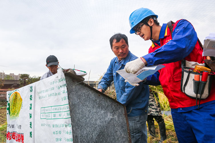 國網寧波市鄞州區(qū)供電公司：深入田間地頭，助力“三秋”保豐收