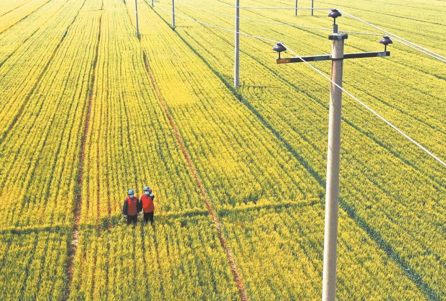 建立服務臺賬，精準了解村民用電需求