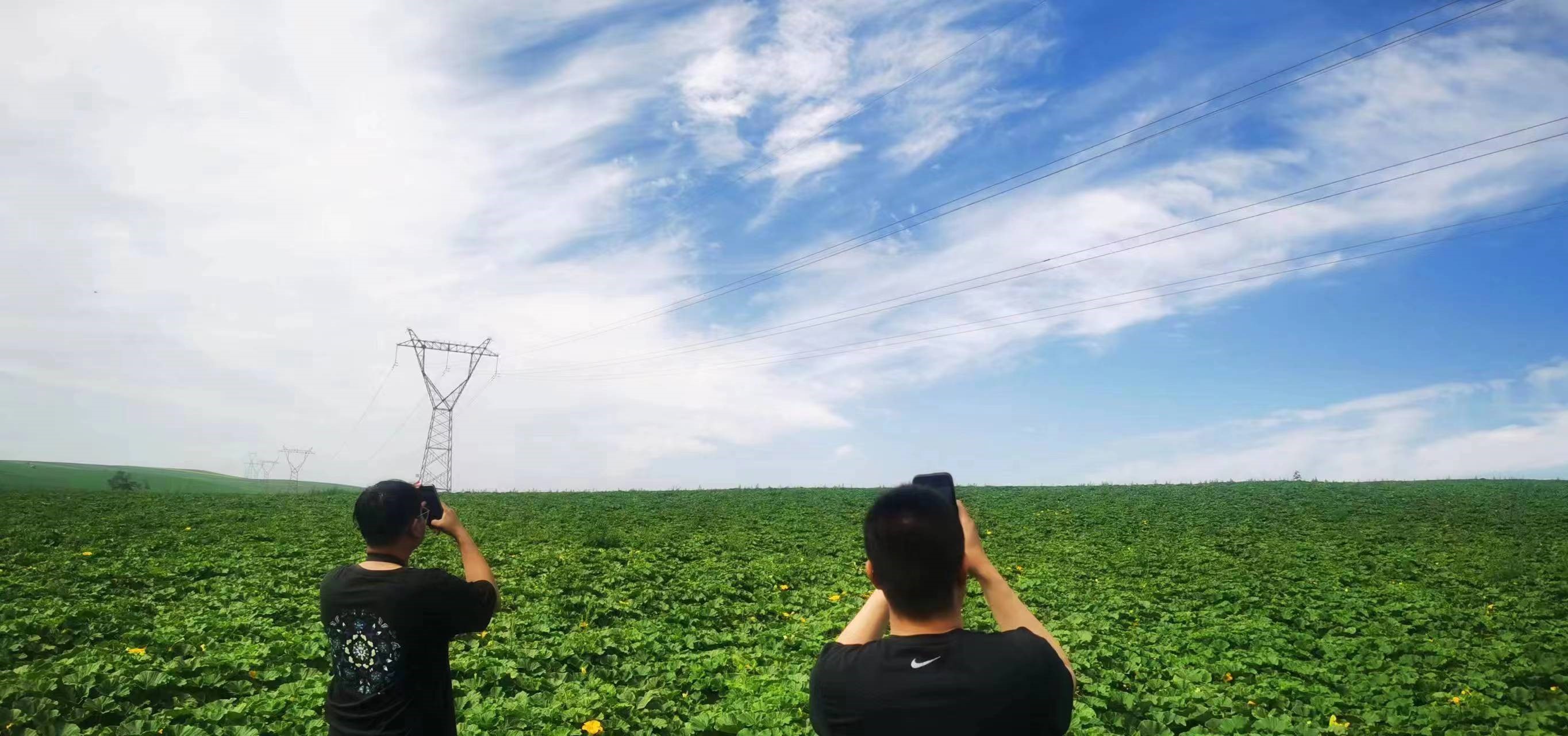 四子王輸變電管理處：防外力破壞，助安全運行