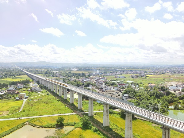 廣東鐵投集團聚焦高品質(zhì)綠色通道建設(shè) 全力打造梅龍高鐵綠美示范工程